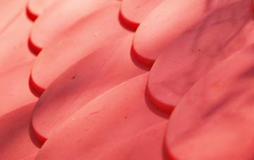 Nant Y Gollen plastic roof costs