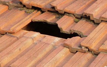 roof repair Nant Y Gollen, Shropshire